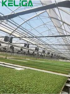 Thiết bị nông nghiệp phát triển bảng dây lưới seedbed nhà kính băng ghế lăn - Product Image 3