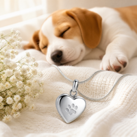 Collier de crémation pour animaux de compagnie en acier inoxydable, pendentif urne en forme de cœur avec empreinte de patte, bijoux commémoratifs pour cendres de chien, couleurs personnalisées, marque SEEDORA
