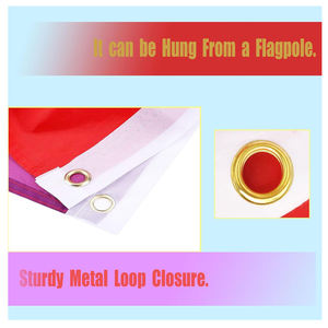 Гордость месяц 100% полиэстер быстрая доставка Мини большой полноцветный принт трансгендерный прогресс 3x5 футов на заказ <span class=keywords><strong>LGBT</strong></span> Радужный Флаг - Product Image 6