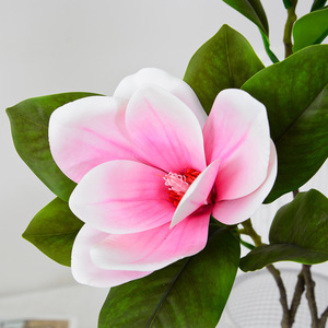 Fleur Artificielle Magnolia Rose et Blanche Effet 3D Doux au Toucher en PVC pour Décoration Intérieure et Accessoires de Mariage - Product Image 4