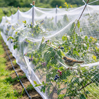Filet anti-oiseaux en maille diamantée robuste pour la protection des légumes, des fraises, des raisins, du riz, du maïs, des tournesols, des vignes et des vignobles - Vente en gros