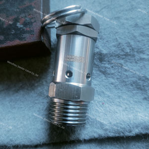 릴리프 배기 밸브 추출시 용제 탱크 용 <span class=keywords><strong>1</strong></span>/4 "NPT 미니 릴리프 밸브이있는 스테인레스 스틸 감압 밸브 - Product Image 6