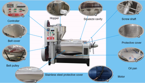 Meilleure vente de machine d'extraction d'huile de tournesol/pressoir d'huile pour graines de tournesol dans le monde entier - Product Image 2