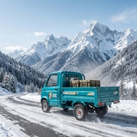 Mini-camion électrique Esun haute puissance 5000W, frein à disque sur 4 roues, plateau de chargement sur mesure de toute longueur, petit fourgon commercial ternaire
