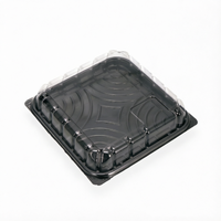 Boîte d'emballage carrée durable pour pain, desserts, sushis, boîte à emporter pour supermarché, boîte en plastique PET blister