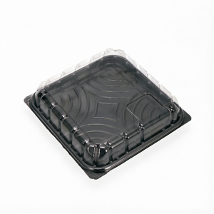 Boîte d'emballage carrée durable pour pain, desserts, sushis, boîte à emporter pour supermarché, boîte en plastique PET blister - Product Image 3