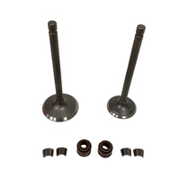 Soupape de moteur de moto en gros, soupape d'admission et d'échappement de moteur de moto adaptée aux modèles Horwin CG350 HW350 HW300 LF300