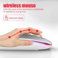 Souris sans fil 2 en 1 avec adaptateur Type-C vers USB Rechargeable par USB avec souris de jeu Bt pour ordinateur portable/PC/Windows/Pad