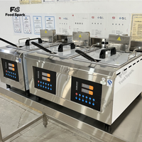 Friteuse à poulet 14L, cylindre unique, élévateur, friteuse électrique professionnelle, friteuse commerciale
