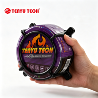 Extincteur automatique TENYU TY-0800 0,8 kg, dispositif d'extinction d'incendie à poudre sèche ABC, certifié CE/MSDS, nouveau modèle.