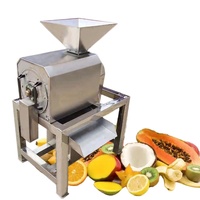Commerciële roestvrijstalen machine voor het verwerken van mango-vruchtvlees, machine voor het maken van vruchtvlees en het extraheren van vruchtenpulp
