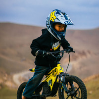 Moto électrique tout-terrain pour enfants, moteur sans balais 653W, cadre en alliage d'aluminium, autonomie de 25 km, pour enfants de 5 à 12 ans, livraison directe d'usine