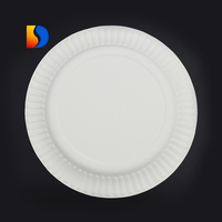 Petites assiettes en papier jetables pour la nourriture servant des fournitures de fête