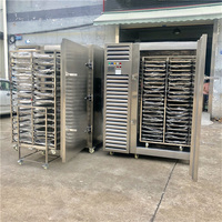 Cryogene snelvriesinstallatie voor vis, fruit & groenten met temperatuurregeling van -80 tot 0°C, koelmiddel R404A+R23