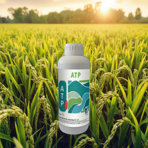 Phân bón phốt pho và kali, sức đề kháng và thân cây mạnh mẽ, tăng hạt và năng suất lúa - Product Image 2