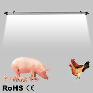 Luces led para granja avícola, luz led para granja de pollos, cerdo y animales