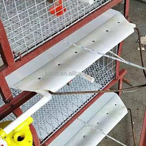 Poulailler pour poules pondeuses Conception de ferme avicole <span class=keywords><strong>Cage</strong></span> verticale automatique pour poules pondeuses de type H - Product Image 5