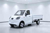 Mini pick-up électrique avec benne, camion électrique 4 roues pour adultes, pour livraison, logistique agricole et urbaine, 3000W