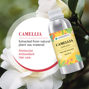 Aceite de <span class=keywords><strong>Camelia</strong></span> Japonés para el Cabello |   Aceite de Tsubaki - 100% Puro y Natural de Semillas de Camellia Japonica Prensado en Frío |   Precio al por mayor, 1 kg - Product Image 3