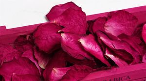 Vente en gros de pétales de rose séchés de haute qualité, prix raisonnable, emballage personnalisé, service OEM, pétales de rose rouge double, 2026 - Product Image 4