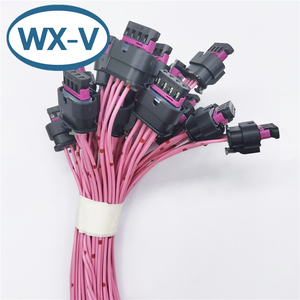 174354-2 DJ70216Y-1.8-11 Harness 21 konektor antiair 174354-2 174352-2 konektor otomotif 2 lubang - Product Image 1