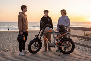 米国倉庫直送工場製500ワット電動自転車マウンテンバイクビーチクルーザーファットバイク - Product Image 6