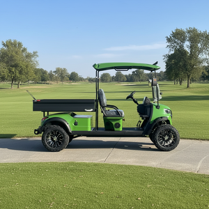 Carrito de Golf Eléctrico Personalizado de 2 Plazas, Homologado para Circular por la Calle, con Caja de Carga Trasera - Product Image 5