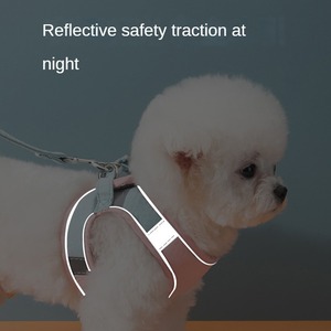 Sangle de poitrine universelle mignonne pour chat - Product Image 2