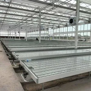 Flower Growing Flood Table Greenhouse Hydroponic Grow Table