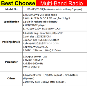 RS-616BT FM/AM/SW1-2 4バンドラジオ (USB SD TF Aux入力/DCジャックトーチライトストラップ付き) をラジオ工場で製造 - Product Image 6