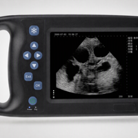Escáner Dental Ultrasónico Compacto Directo de Fábrica (Modelos A6/A10) para Diagnóstico de Gestación en Ganado, Ovejas/Veallos
