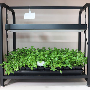 Plantes d'intérieur, kit de démarrage de semis pour la cuisine, jardinage intelligent en intérieur, mini-jardin, kit de culture avec lumières à spectre complet, hauteur réglable, mobile - Product Image 2
