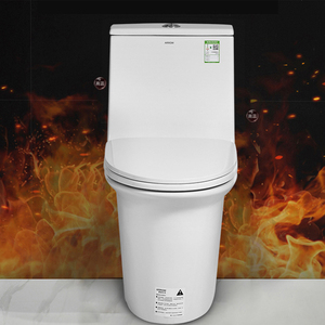 โถสุขภัณฑ์แบบชิ้นเดียว ARROW รุ่นโมเดิร์น ระบบ Dual-Flush สำหรับโรงแรม พร้อม S-Trap โถเซรามิกคุณภาพสูงและอ่างล้างหน้า - Product Image 4