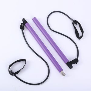 Có Thể Điều Chỉnh Đàn Hồi Pilates Thanh Nhà Tập Thể Dục Phòng Tập Thể Dục Tập Thể Dục Pilates Thanh Kit Với Resistance Bands Cho Nhà Tập Thể Dục - Product Image 6