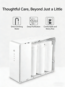 500G Hochleistungs-Tanklose Elektrische Kunststoff-Umkehrosmoseanlage 3-Stufen-Filtration für Haushalt Hotel Outdoor Auto Direktgebrauch - Product Image 2