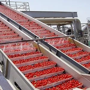 Planta de procesamiento pequeña automática Línea de producción de pasta de tomate Máquina de pasta de tomate