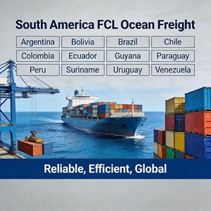 Servicio <span class=keywords><strong>de</strong></span> Envío Marítimo Confiable <span class=keywords><strong>de</strong></span> 20 Pies y 40HQ <span class=keywords><strong>de</strong></span> China a <span class=keywords><strong>Argentina</strong></span> y Brasil, Experiencia en FCL y LCL, Transitario <span class=keywords><strong>de</strong></span> Carga Marítima, Tiempo <span class=keywords><strong>de</strong></span> Tránsito Corto - Product Image 1