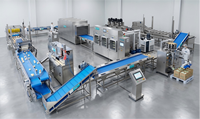 Volledig automatische productielijn voor gevriesdroogde appels van roestvrij staal 304, inclusief schillen, wassen en lyofiliseren, fruitverwerkingsfabriek