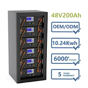 Hơn 6000 Chu Kỳ Pin Biến Tần Sạc Năng Lượng Mặt Trời 10Kwh Pin LiFePO4 16S1P 51.2V 200A Pin Lithium Phosphate 48V 200Ah