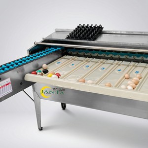 Machine de tri automatique des œufs en acier inoxydable, 4500 œufs par heure, équipement de transformation des œufs de grande capacité - Product Image 1