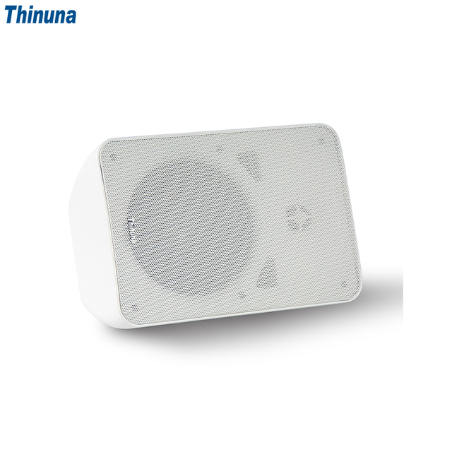 Thinuna WS6-BT Wall Mounted BT Speaker Multi-Function Active Campus Broadcast Background Music Outdoor Waterproof Speaker