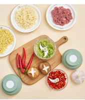 Broyeur à ail électrique Portable, 100ML, nouveau Mini appareil Usb pour aliments, légumes et viande