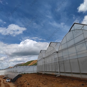 مصنع مخصص فيلم الدفيئة إطار معدني فيلم الدفيئة لزراعة الطماطم الدفيئة - Product Image 1
