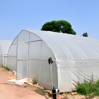 Serre de séchage de piments à portée unique, petite, en PE, à économie d'énergie solaire