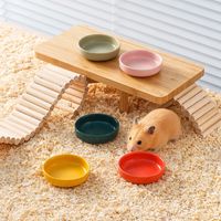 Bol en céramique minimaliste rond de couleur unie pour hamster, gamelle pour hamster syrien, oiseaux et petits animaux (papillons, etc.) - Vente en gros