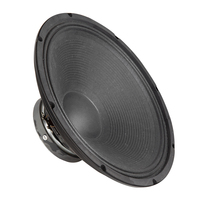 15 İnç 500W 8 Ohm 95dB Profesyonel Ses Sistemi Subwoofer Hoparlör Sürücüsü, PA Sistemi OEM Fabrika Özel Üretimi