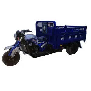 TH 255 water cooled lifan tricycle engine