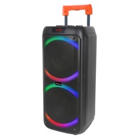 Altavoz Bluetooth con Asa Telescópica, Altavoz con Doble Woofer de 8 Pulgadas, Batería Recargable, USB, TF, FM, TWS, Micrófono Inalámbrico Individual