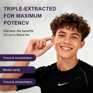 Hot Selling Private Label Premium Nahrungs ergänzungs mittel Lions Mane Mushroom Extract Kapseln - Product Image 6