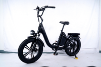 Vélo électrique pour livraison, 750W 48V 50Ah, pneus larges 20x4.0 pouces, vélo électrique avec double batterie, vélo électrique à longue autonomie
